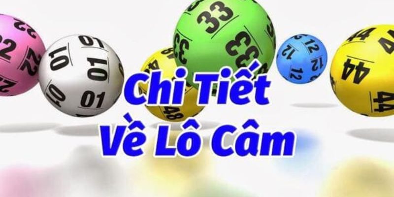 Tìm hiểu đôi nét về cách đánh lô theo đầu câm 