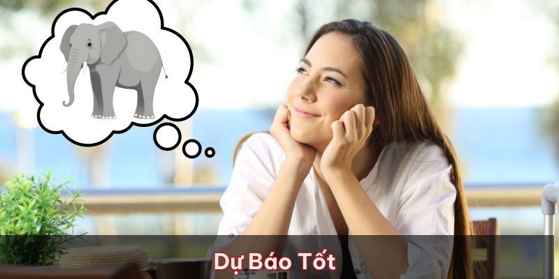 Khám phá về mơ thấy voi trong giấc ngủ