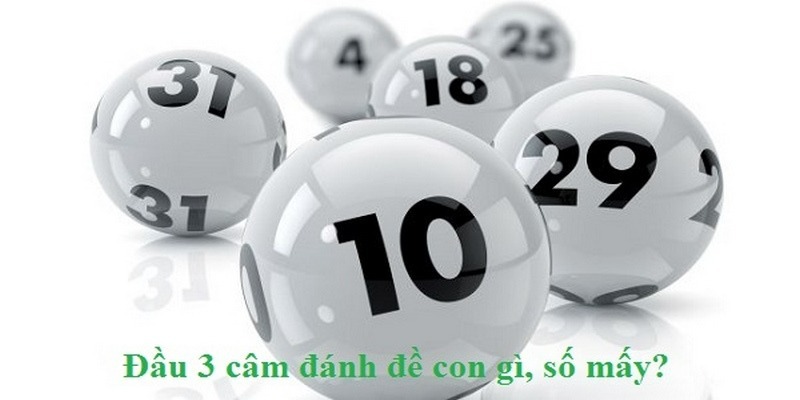 Cách thức dự đoán khi gặp đầu 3 câm là như thế nào?